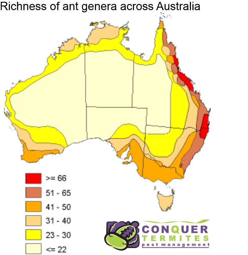 A diagram showing a map of Australia with black ant distribution population