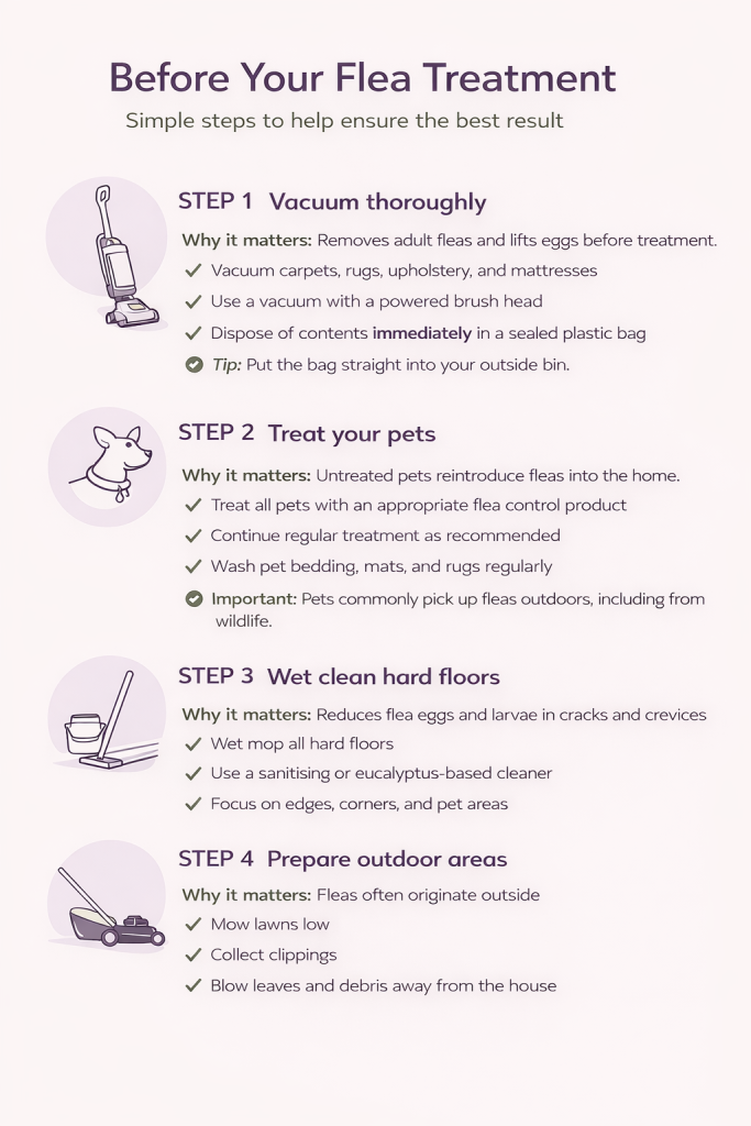 A diagram displaying what you should do when you're treating fleas
