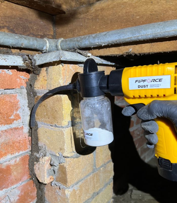 A photo of a dusting treatment being applied to a termite lead under a house