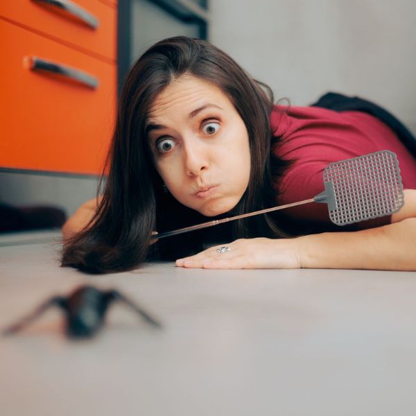 A photo of a homeowner about to splat a bug on the floor