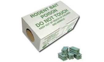 Photo of a cardboard rodent bait box with bait